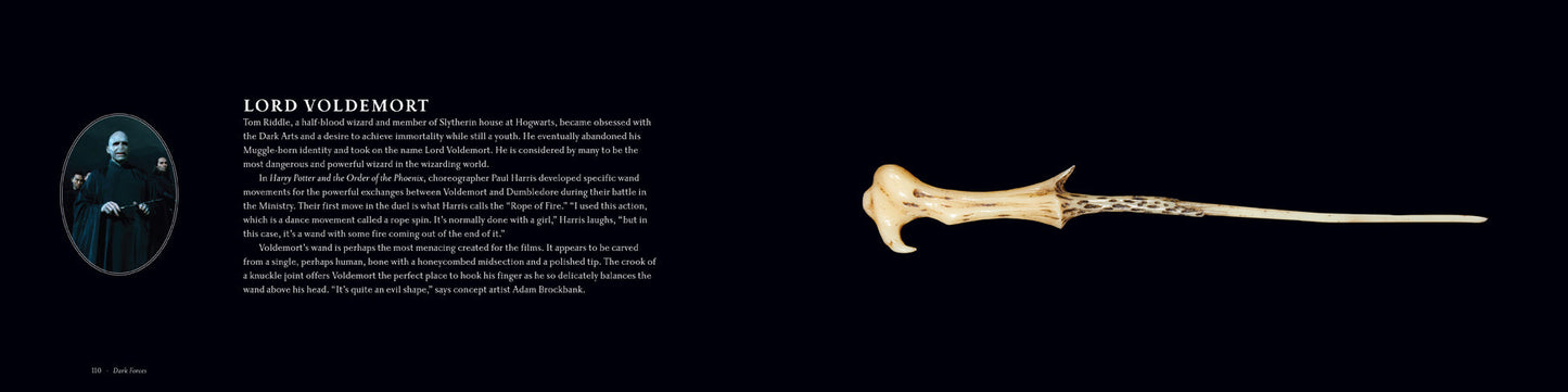 Harry Potter: The Wand Collection Hardcover Book