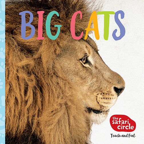 The Safari Circle: Big Cats Hardcover Book