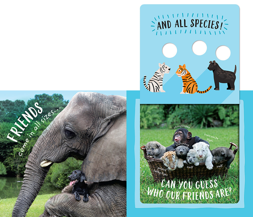 The Safari Circle: Animal Pals Hardcover Book