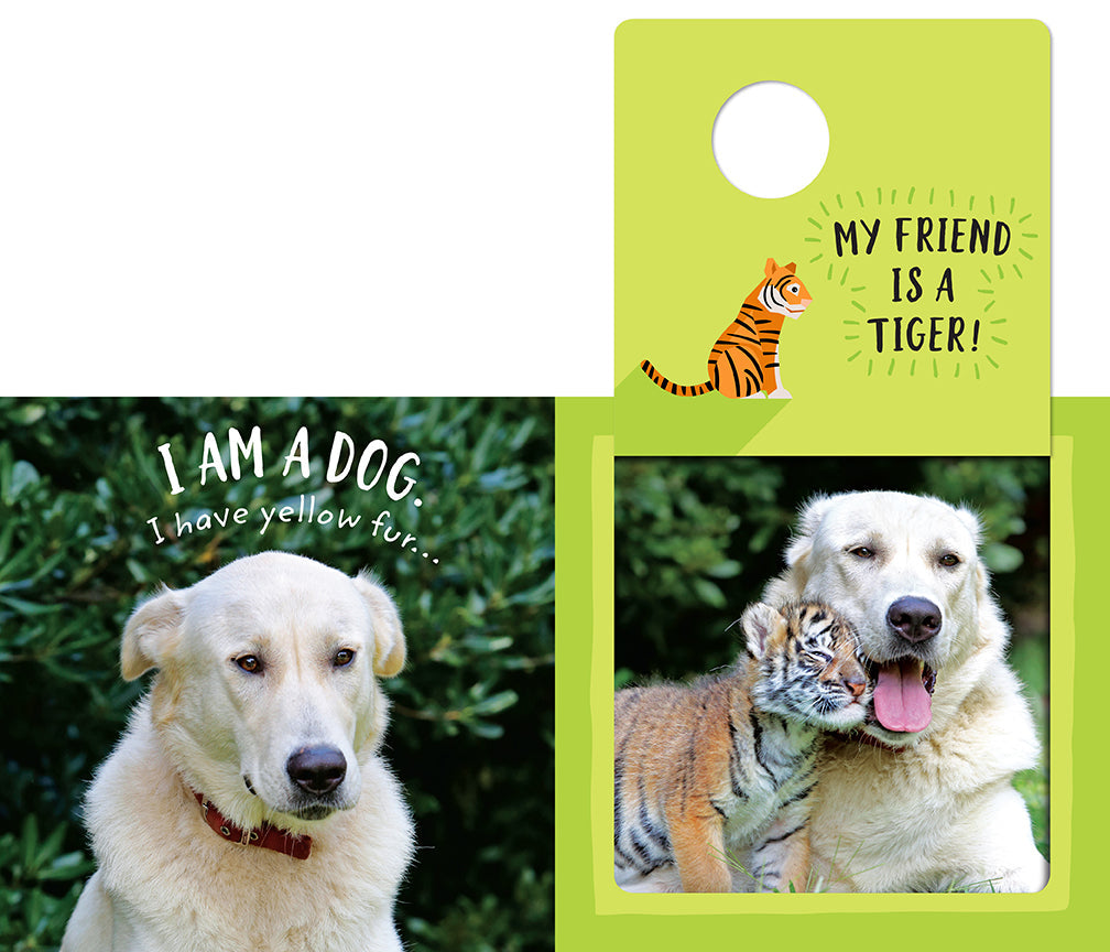 The Safari Circle: Animal Pals Hardcover Book