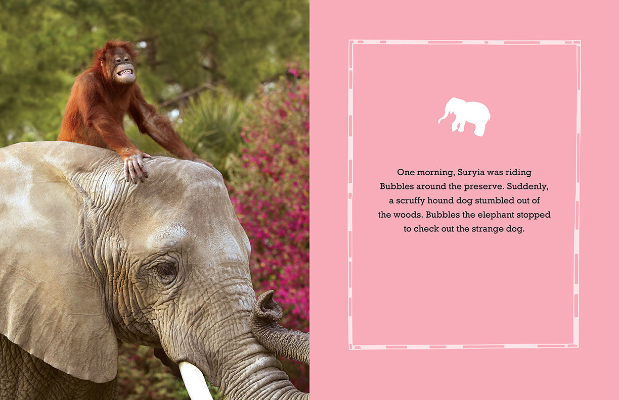 Suryia Hardcover Book