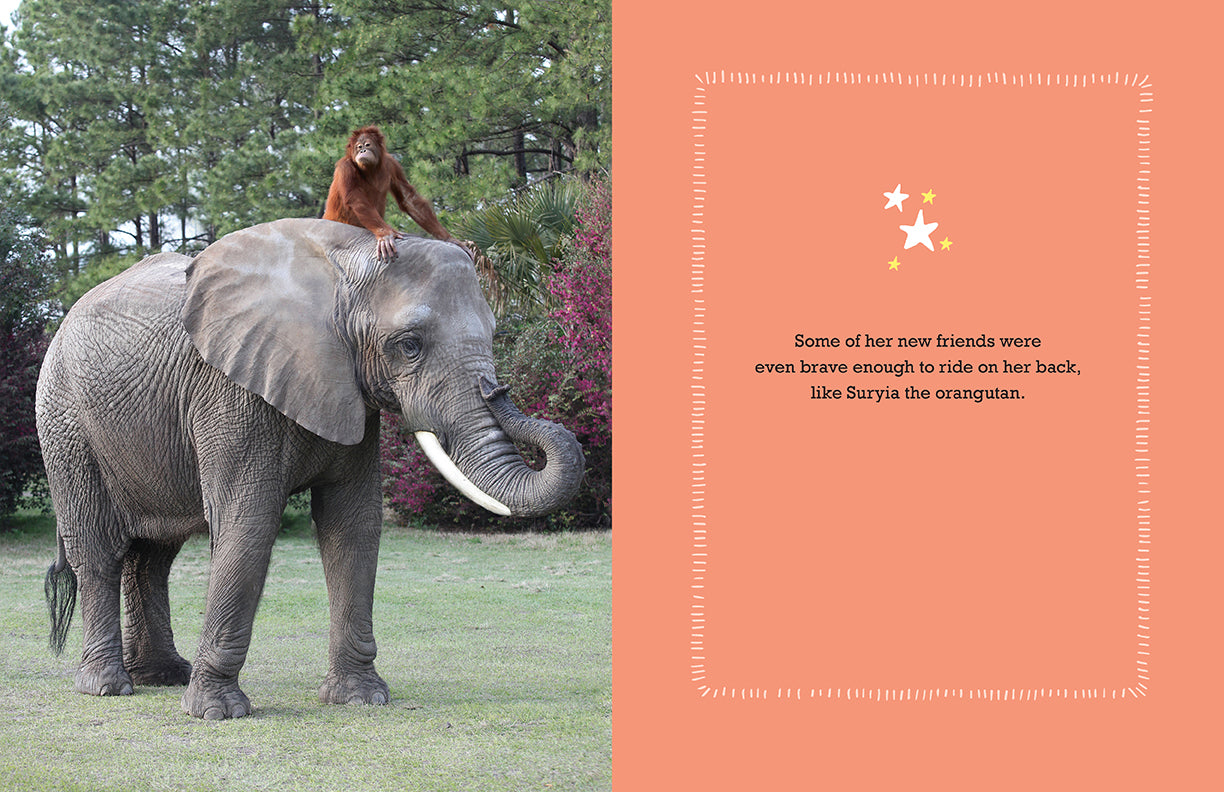 Bubbles Hardcover Book