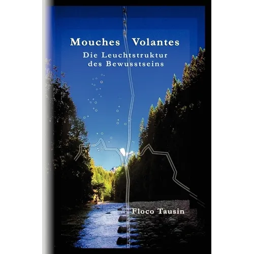 Mouches Volantes - Die Leuchtstruktur des Bewusstseins