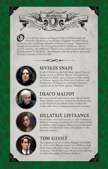 Harry Potter: Slytherin Ruled Notebook Softcover Book