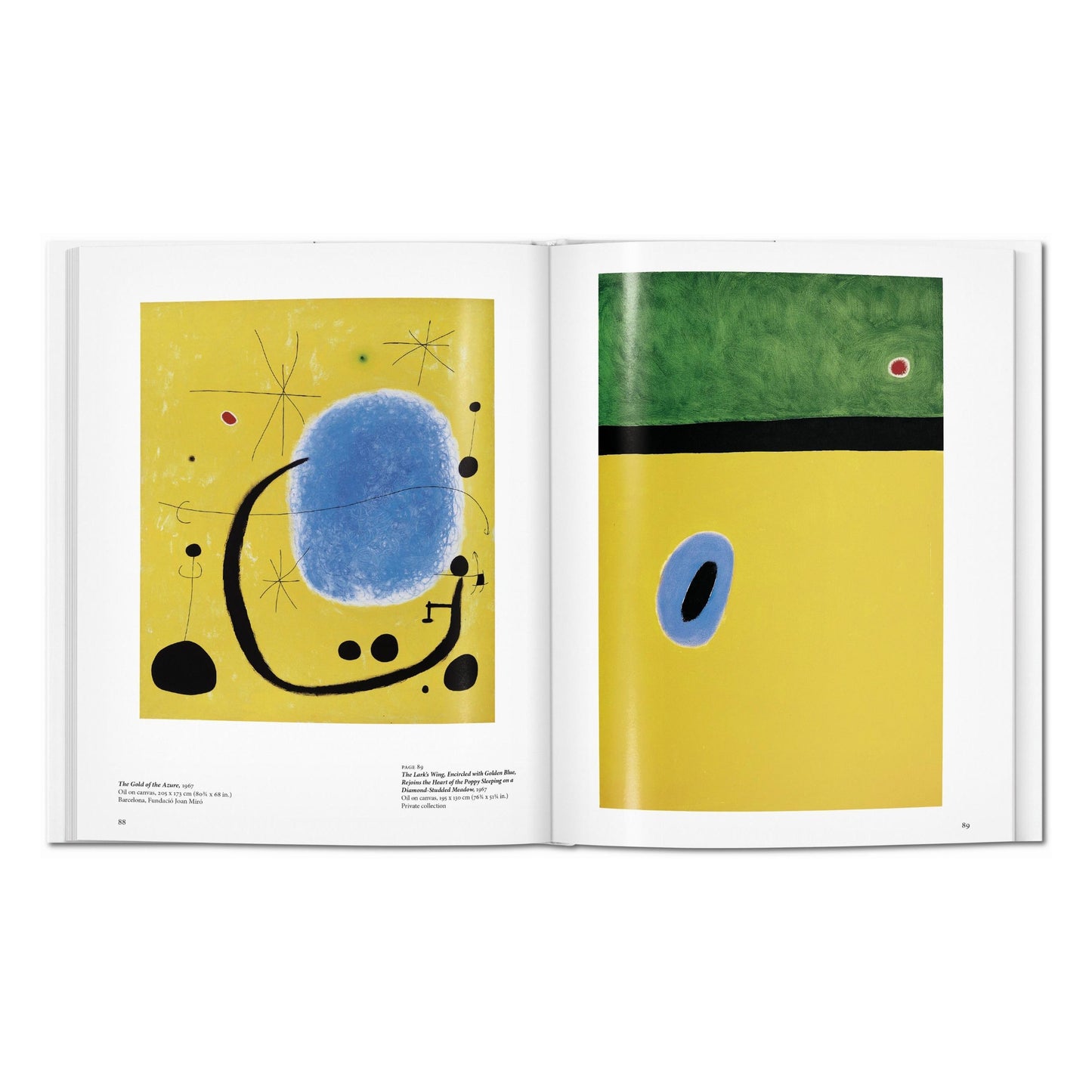 Miró (English) Book