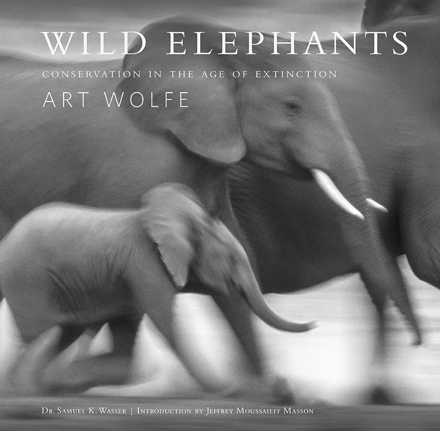 Wild Elephants Hardcover Book