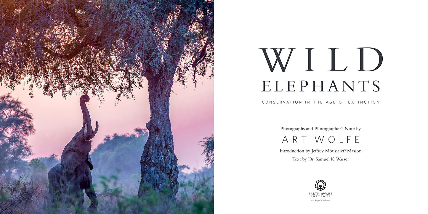 Wild Elephants Hardcover Book