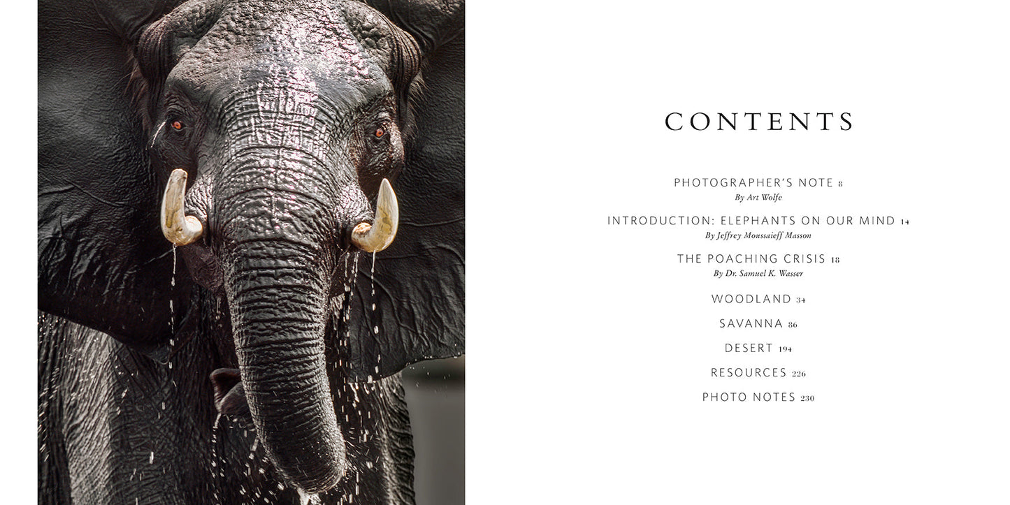 Wild Elephants Hardcover Book
