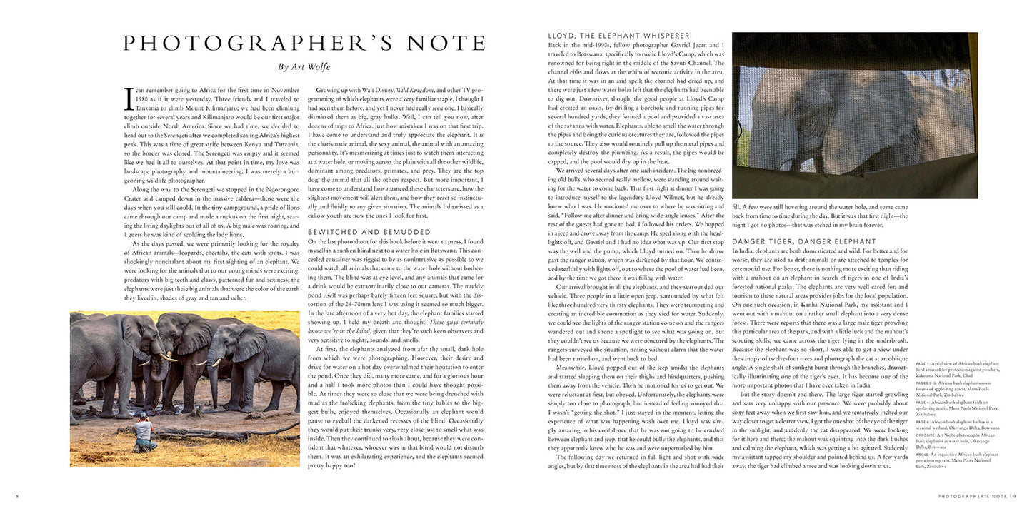 Wild Elephants Hardcover Book