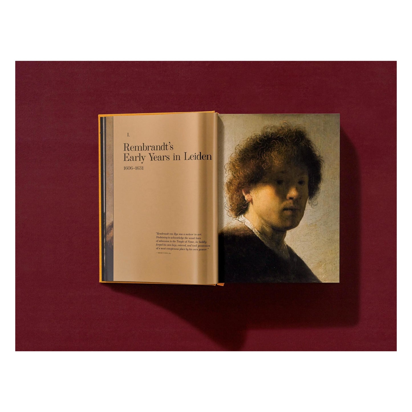 Rembrandt. The Complete Paintings (English) Book