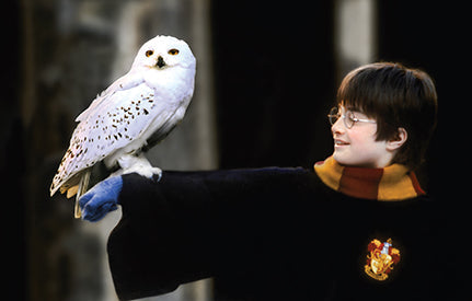 Harry Potter: The Postcard Collection Hardcover Book