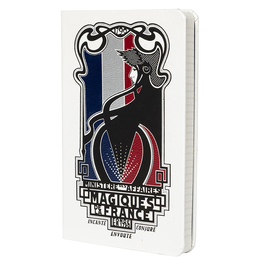 Fantastic Beasts: The Crimes of Grindelwald: Minisere des Affaires Magiques Hardcover Ruled Journal Hardcover Book