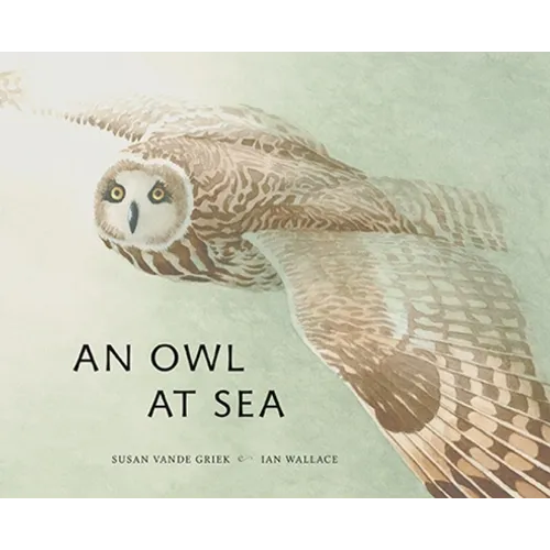 An Owl at Sea