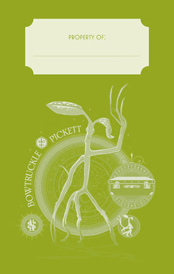 Fantastic Beasts: The Crimes of Grindelwald: Pickett Ruled Pocket Journal Hardcover Book