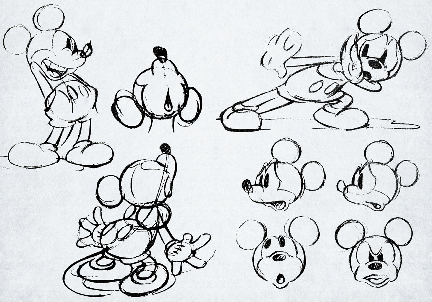 Disney: Ninety Years of Mickey Mouse Hardcover Book