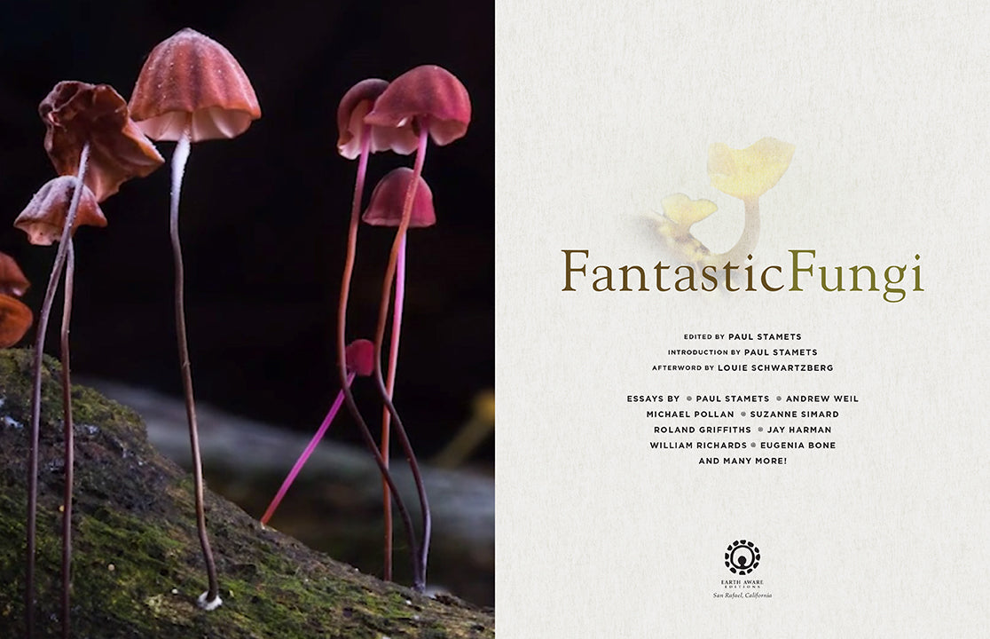 Fantastic Fungi Hardcover Book