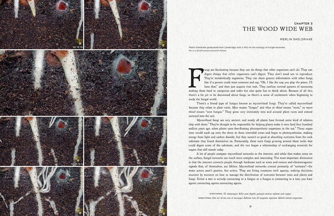 Fantastic Fungi Hardcover Book