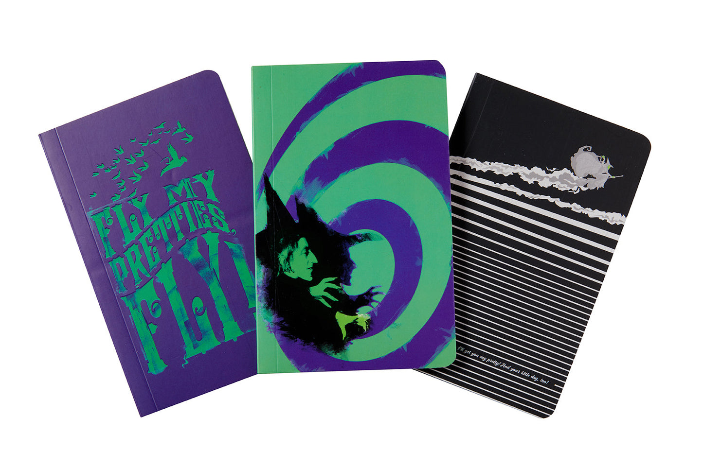 The Wizard of Oz: Wicked Witch of the West Pocket Notebook Collection (Set of 3) Softcover Book