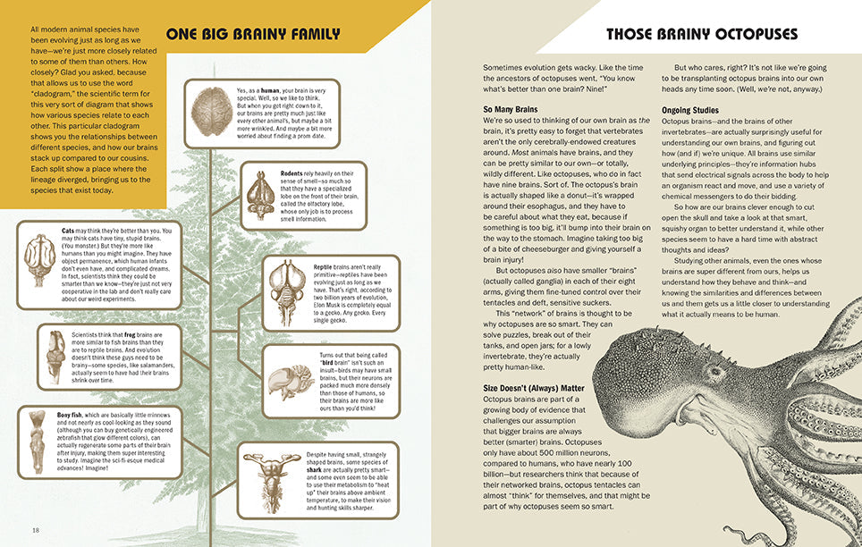 Brains Explained Hardcover Book