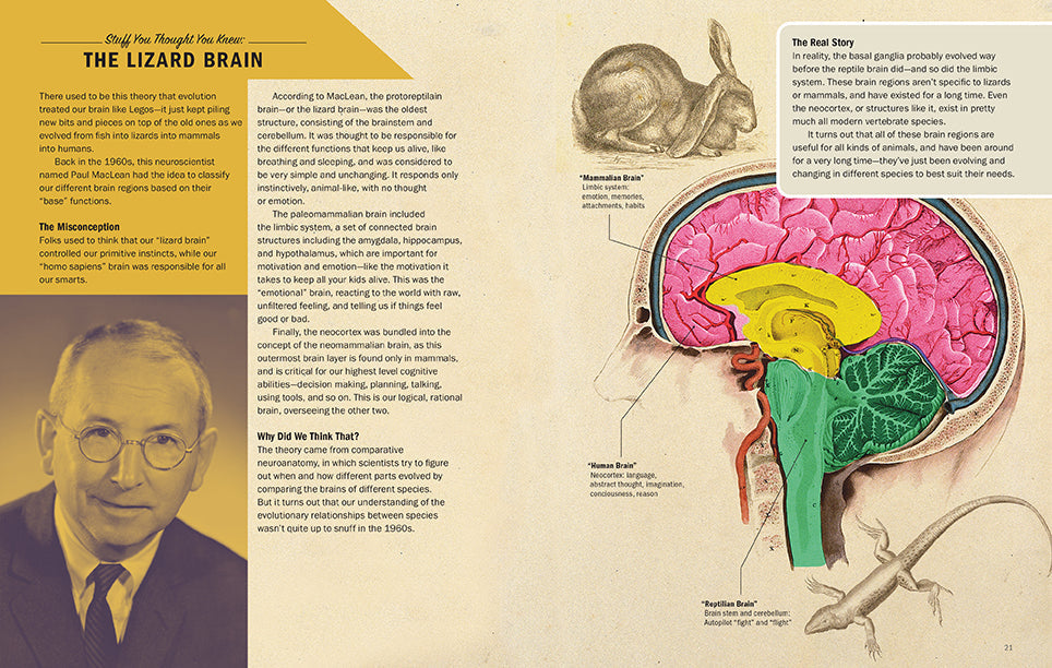 Brains Explained Hardcover Book