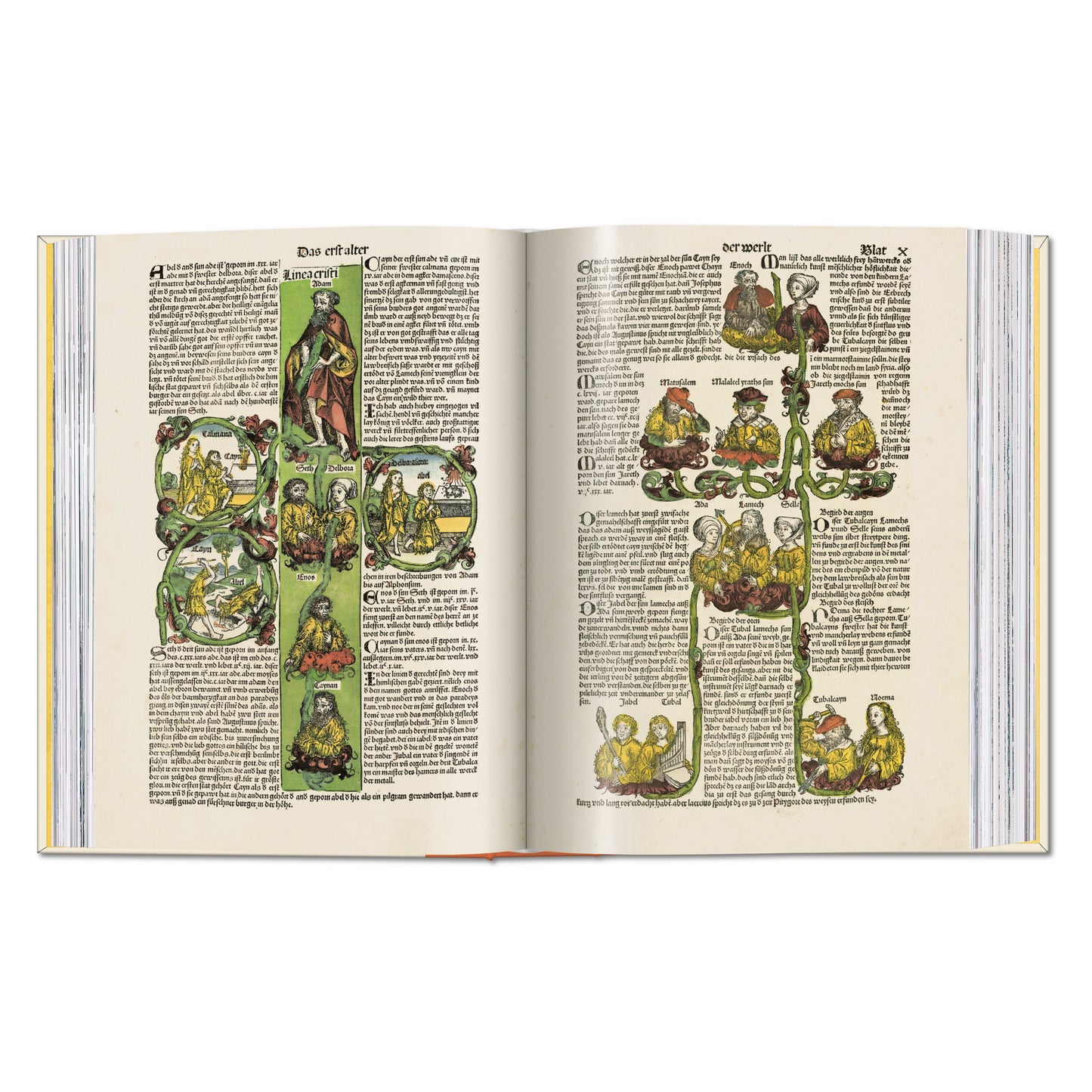 Hartmann Schedel. Chronicle of the World 1493 (English) Book
