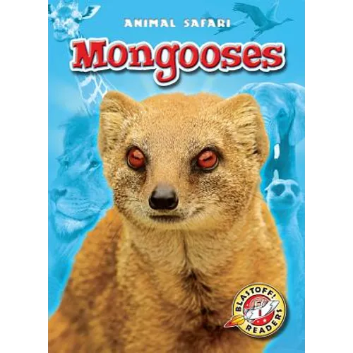 Mongooses