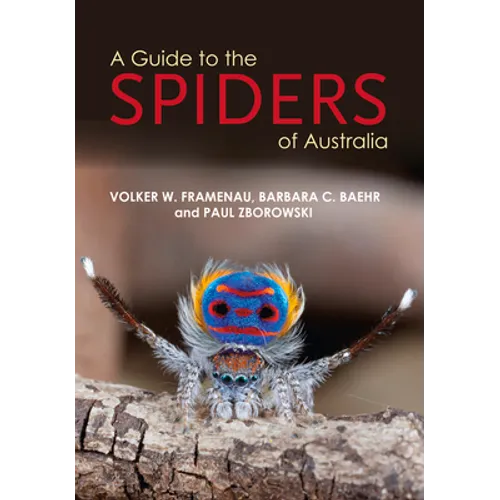 A Guide to Spiders of Australia
