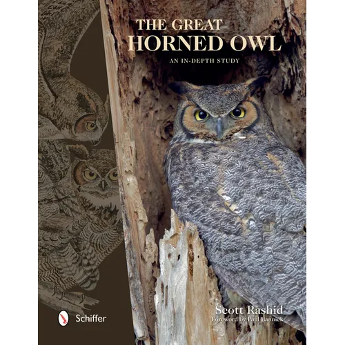 The Great Horned Owl: An In-Depth Study