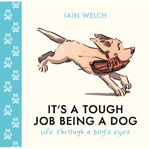 It's a Tough Job Being a Dog: Life Through a Dog's Eyes