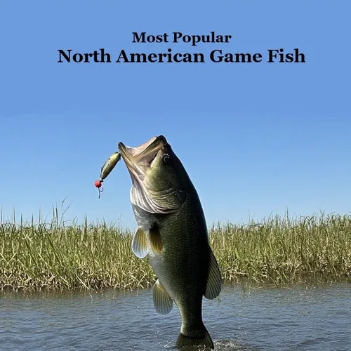 Most Popular North American Game Fish Species Kids Book: Great Book for Children of All Ages About the North American Game Fish Species
