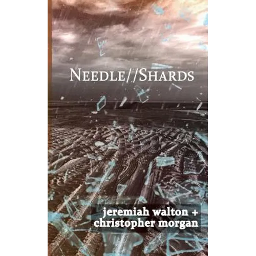 Needle // Shards