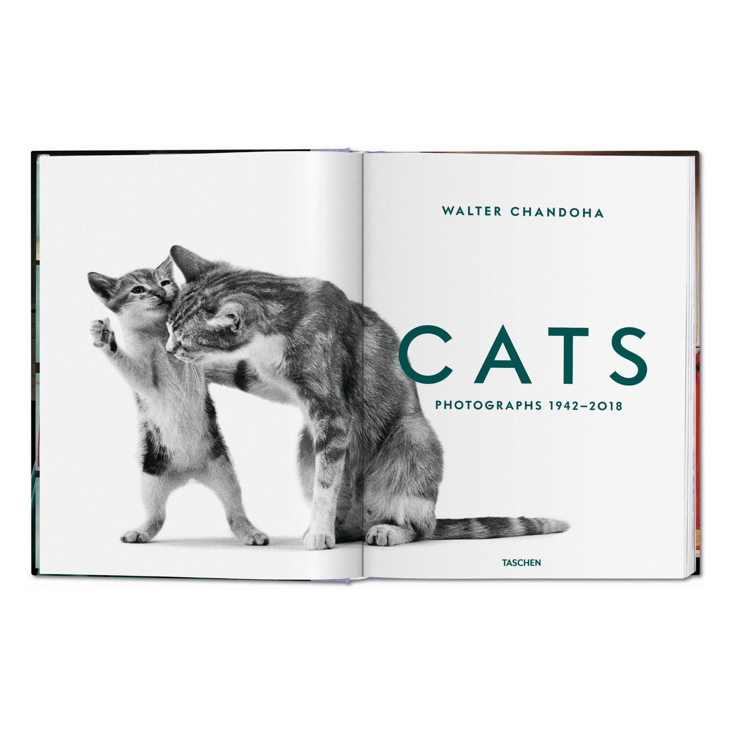 Walter Chandoha. Cats. Photographs 1942–2018 (German, French, English) Book