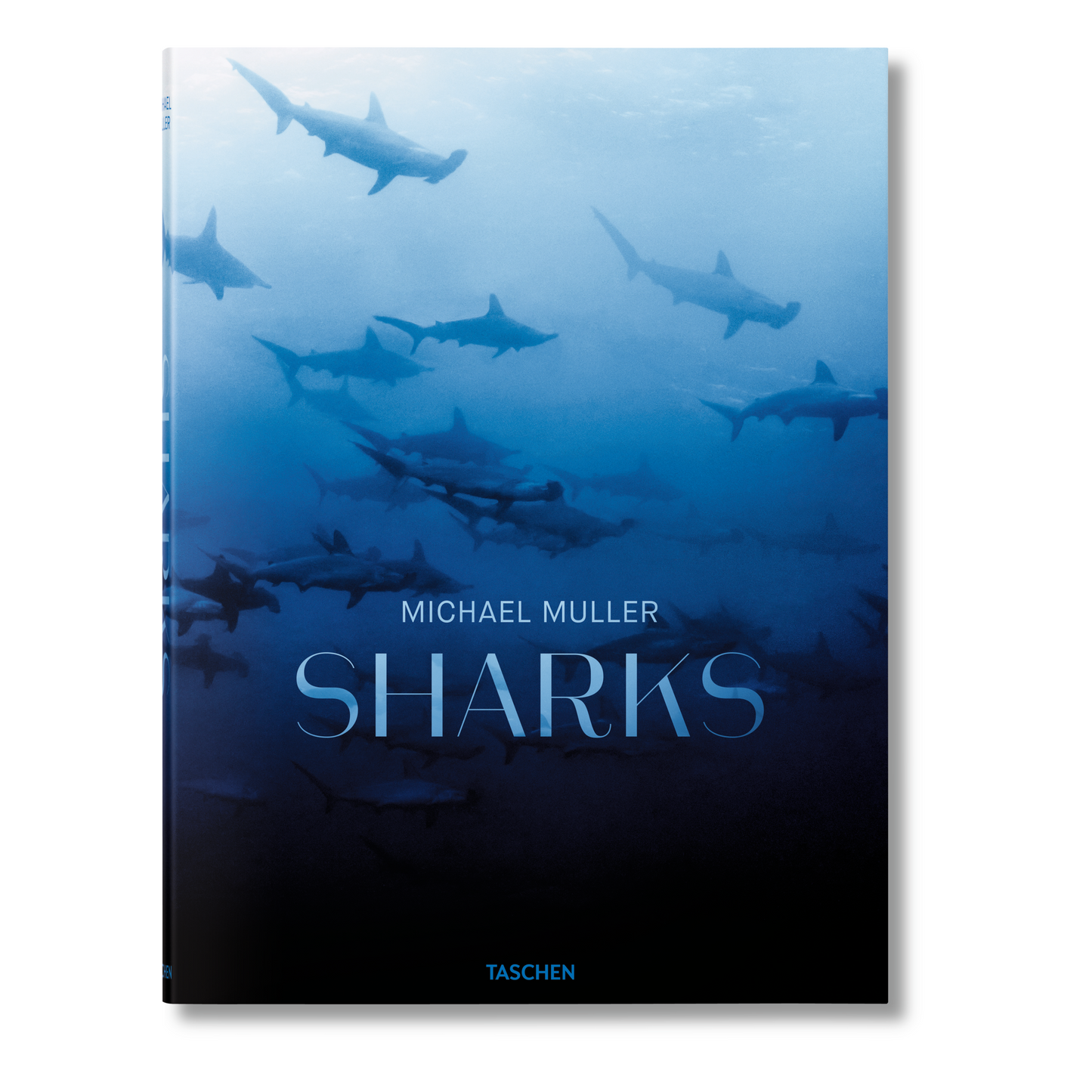 Michael Muller. Sharks (English) Book