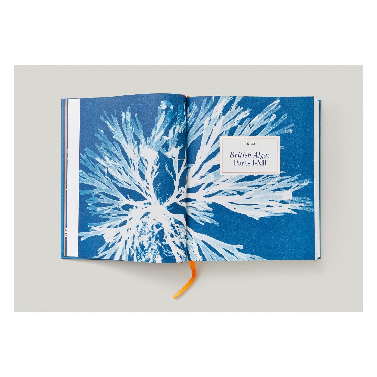 Anna Atkins. Cyanotypes (German, French, English) (FFE) Book