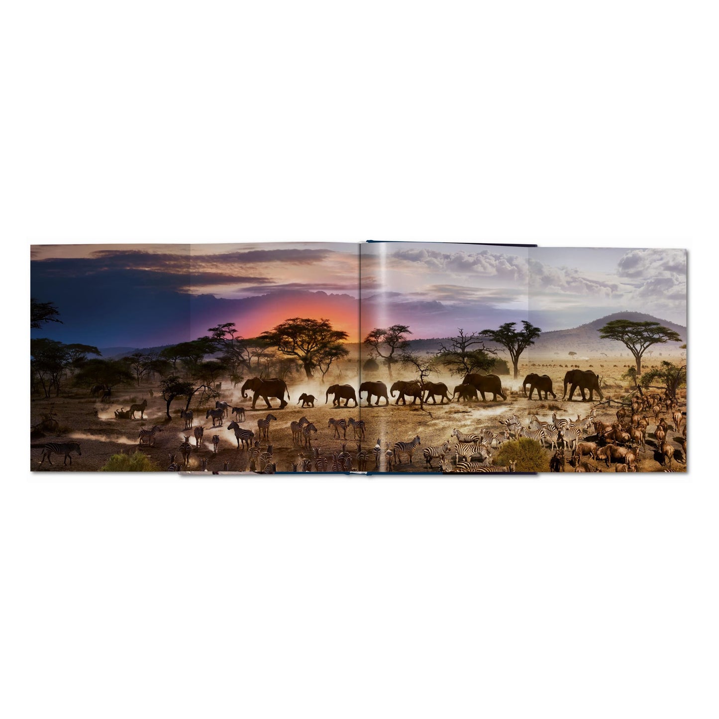 Stephen Wilkes. Day to Night (German, French, English) Book