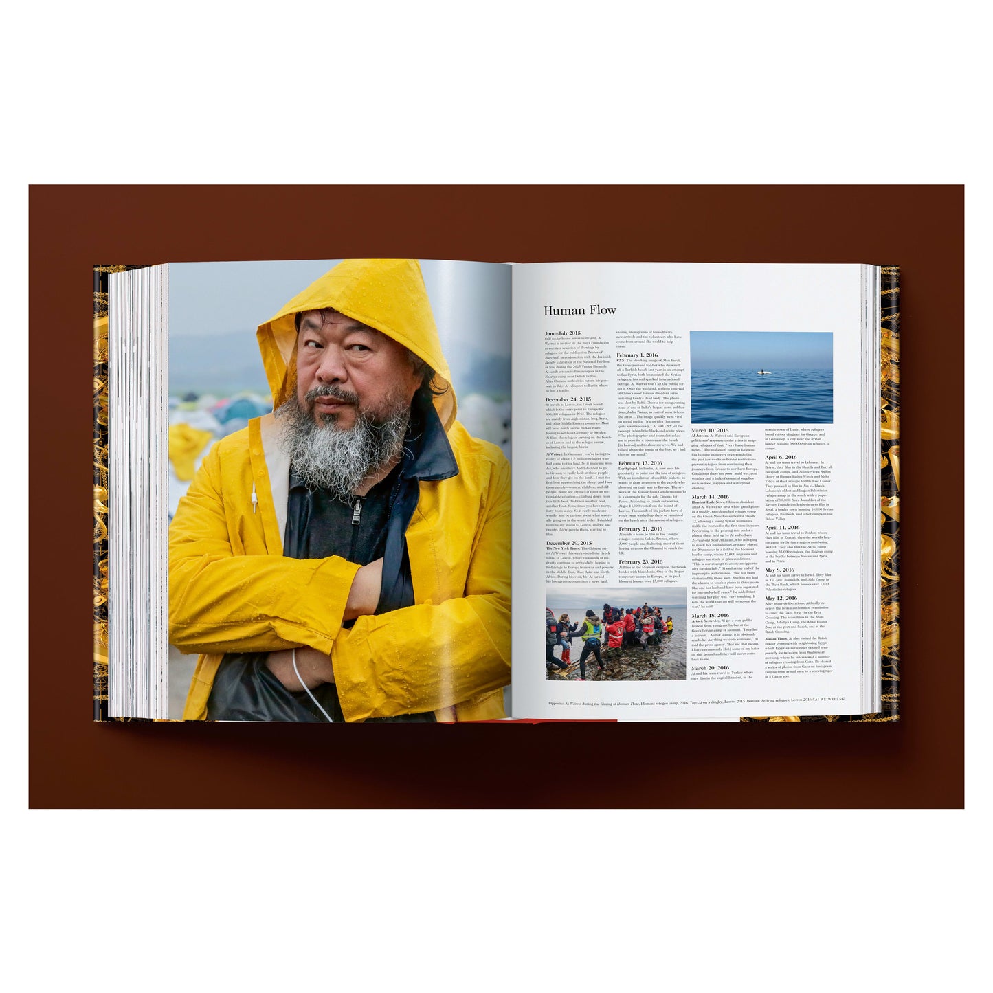 Ai Weiwei. Updated Edition (German, French, English) Book