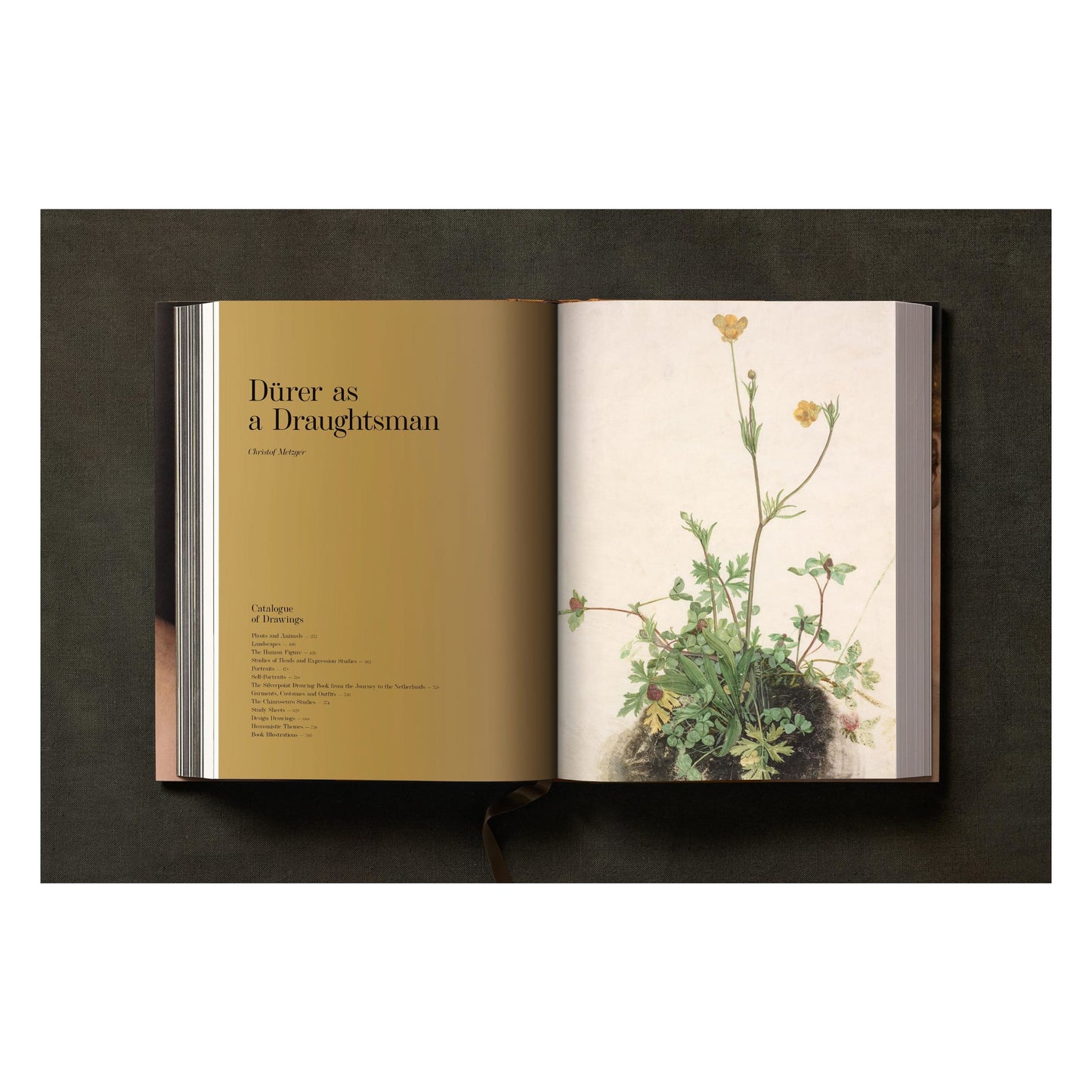 Albrecht Dürer. The Complete Paintings. Selected Drawings and Prints (English) Book