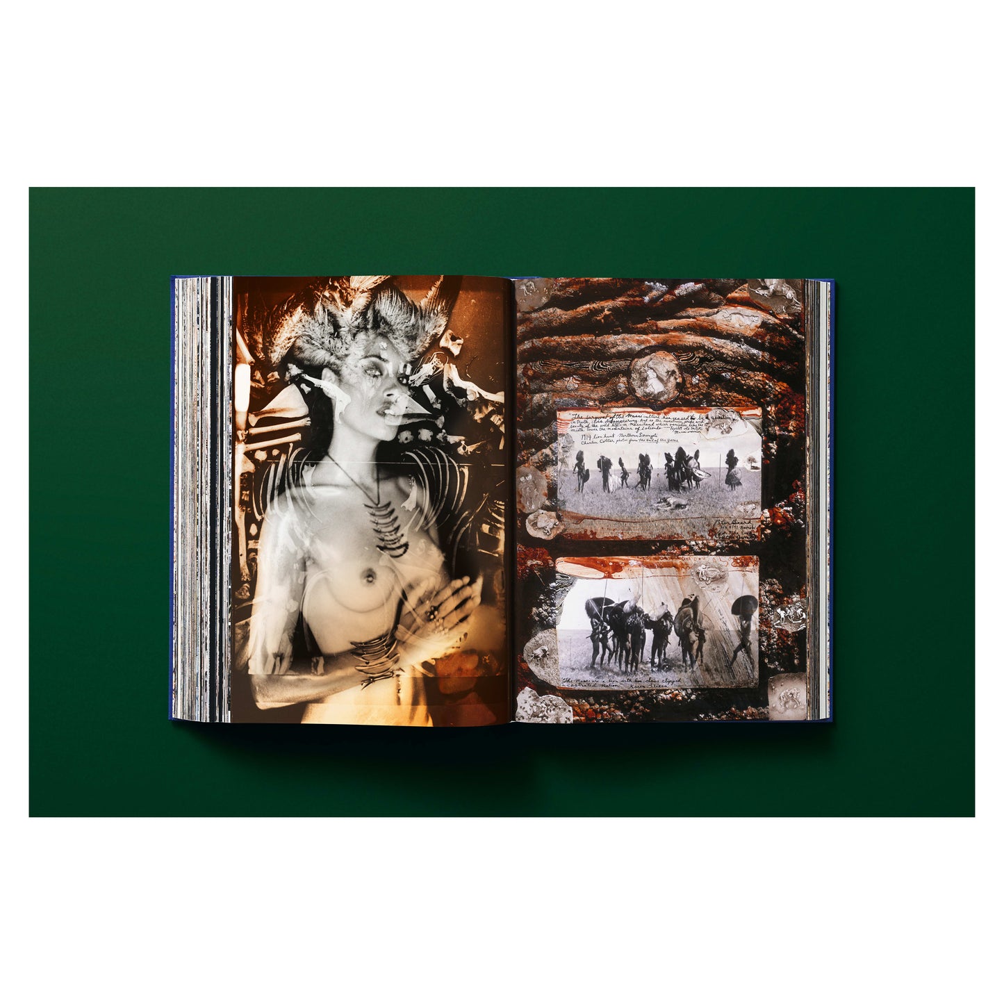 Peter Beard (German, French, English) Book