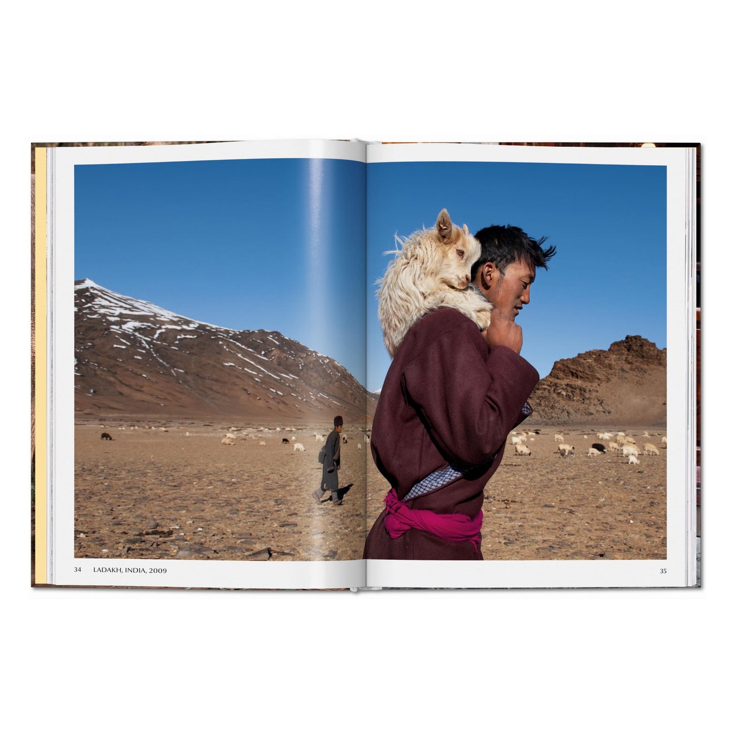 Steve McCurry. Animals (English) Book