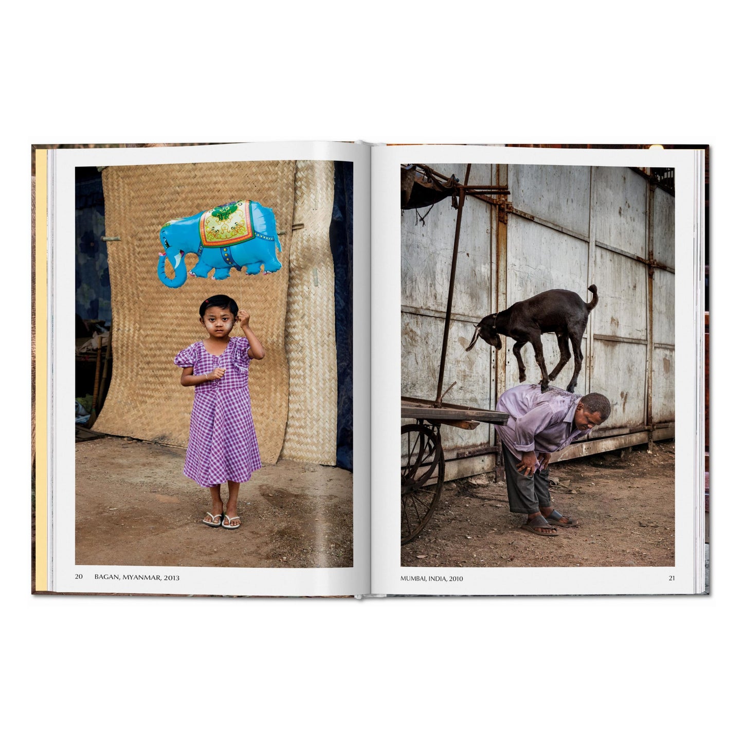Steve McCurry. Animals (English) Book