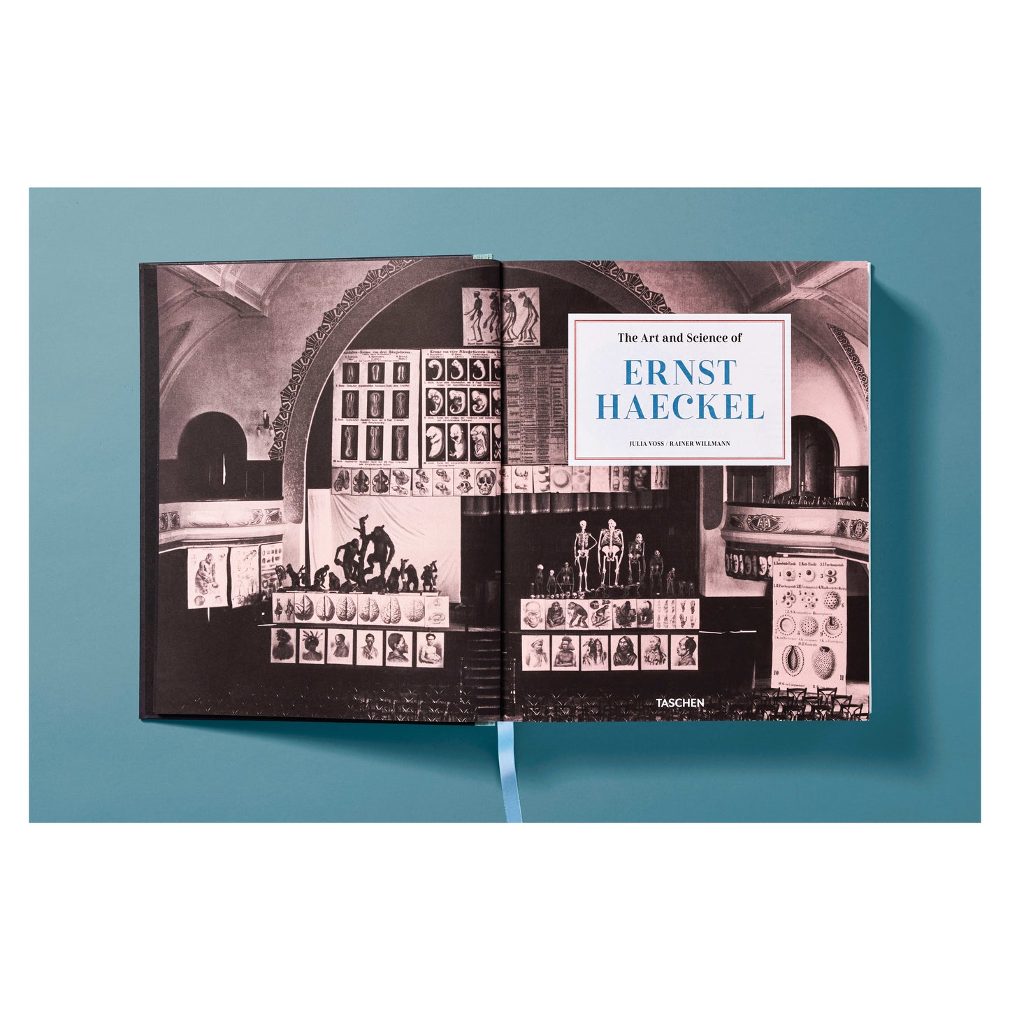 The Art and Science of Ernst Haeckel (German, French, English) Book