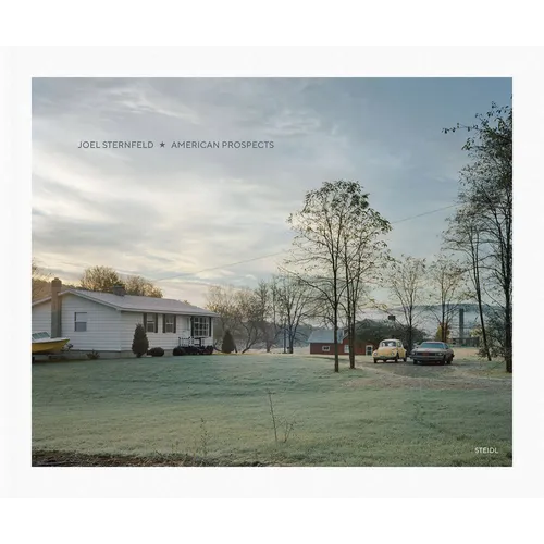 Joel Sternfeld: American Prospects