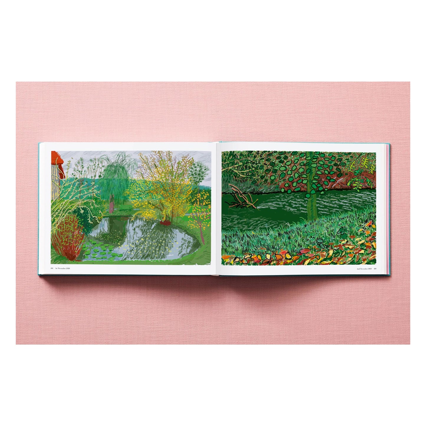 David Hockney. 220 for 2020 (English) Book