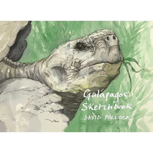 Galápagos Sketchbook