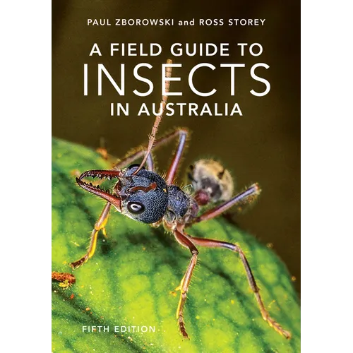 A Field Guide to Insects of Australia: Volume 5