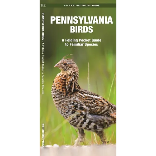 Pennsylvania Birds: A Folding Pocket Guide to Familiar Species