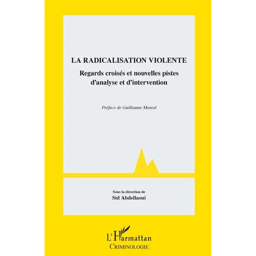 La radicalisation violente: Regards croisés et nouvelles pistes d'analyse et d'intervention