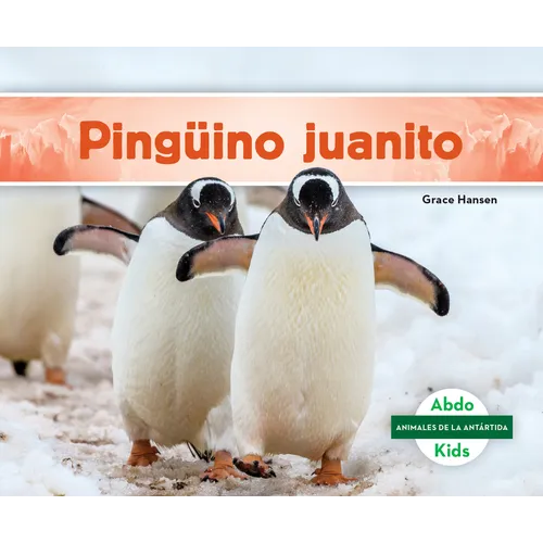 Pinguino Juanito (Gentoo Penguin)