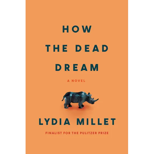How the Dead Dream
