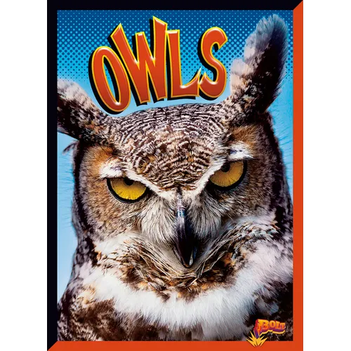 Owls